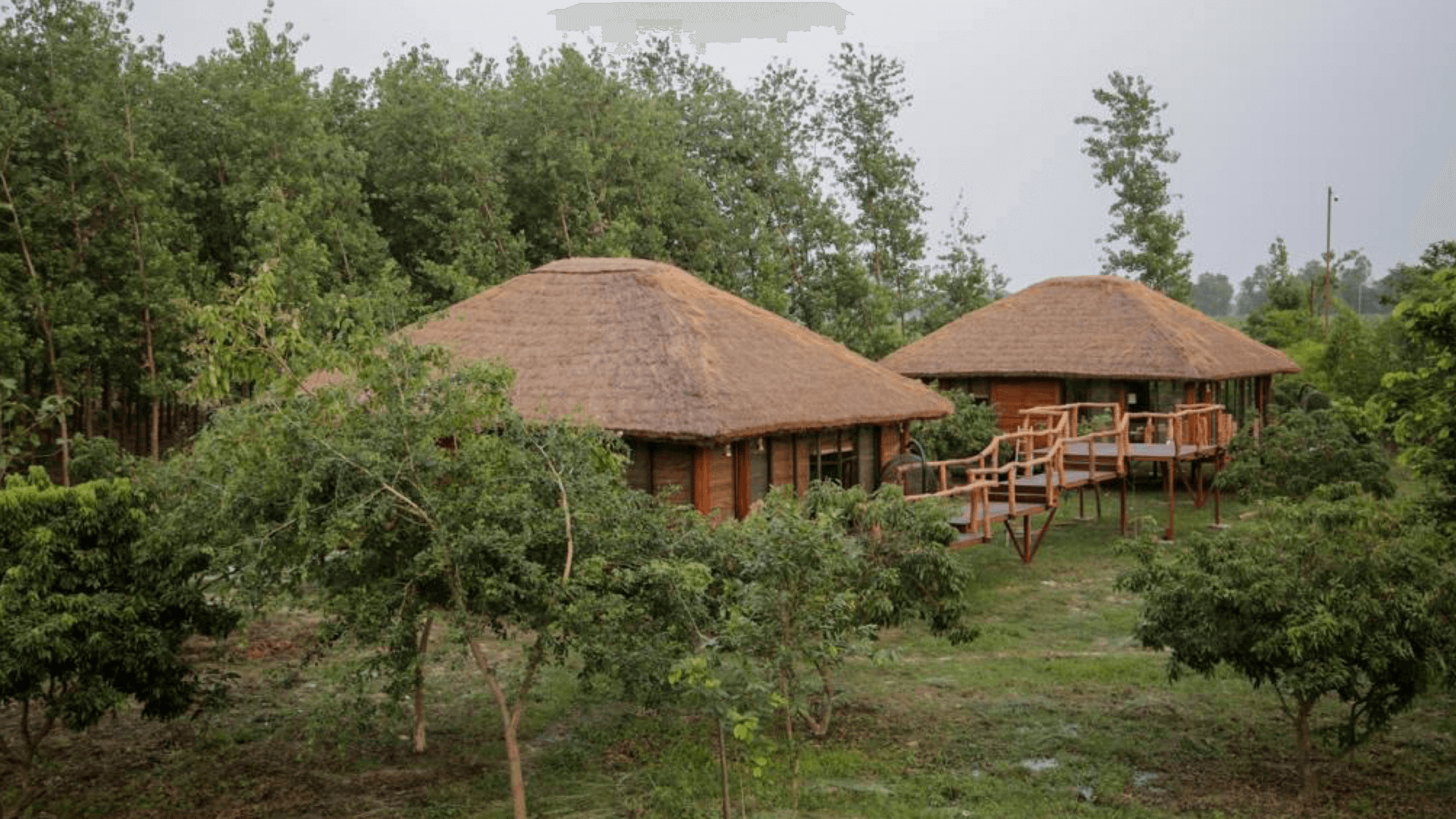 1. Travel & Leisure – The Ultimate Travelling Camp Dudhwa – space