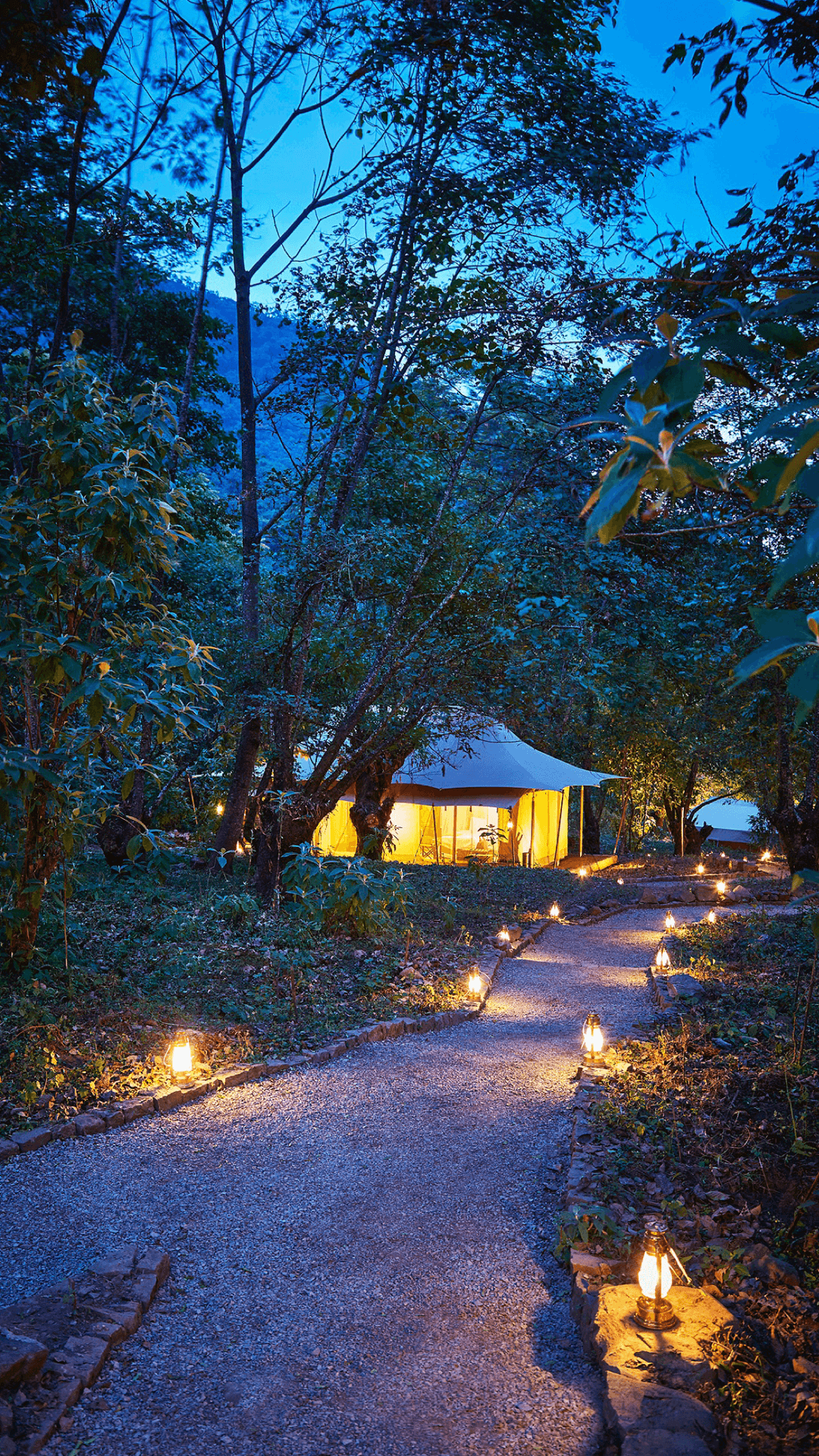 2. Travel & Leisure – The Ultimate Travelling Camp Nagaland – space